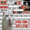 翻妈包之翻斗世界6.0正式版