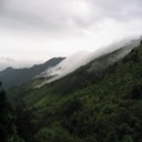 却月传-驰骋中原