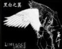 守卫金凤2.3正式版