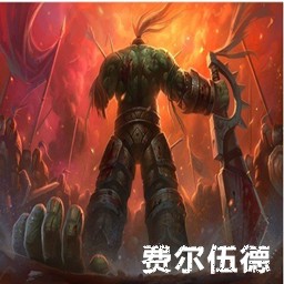 费尔伍德1.6